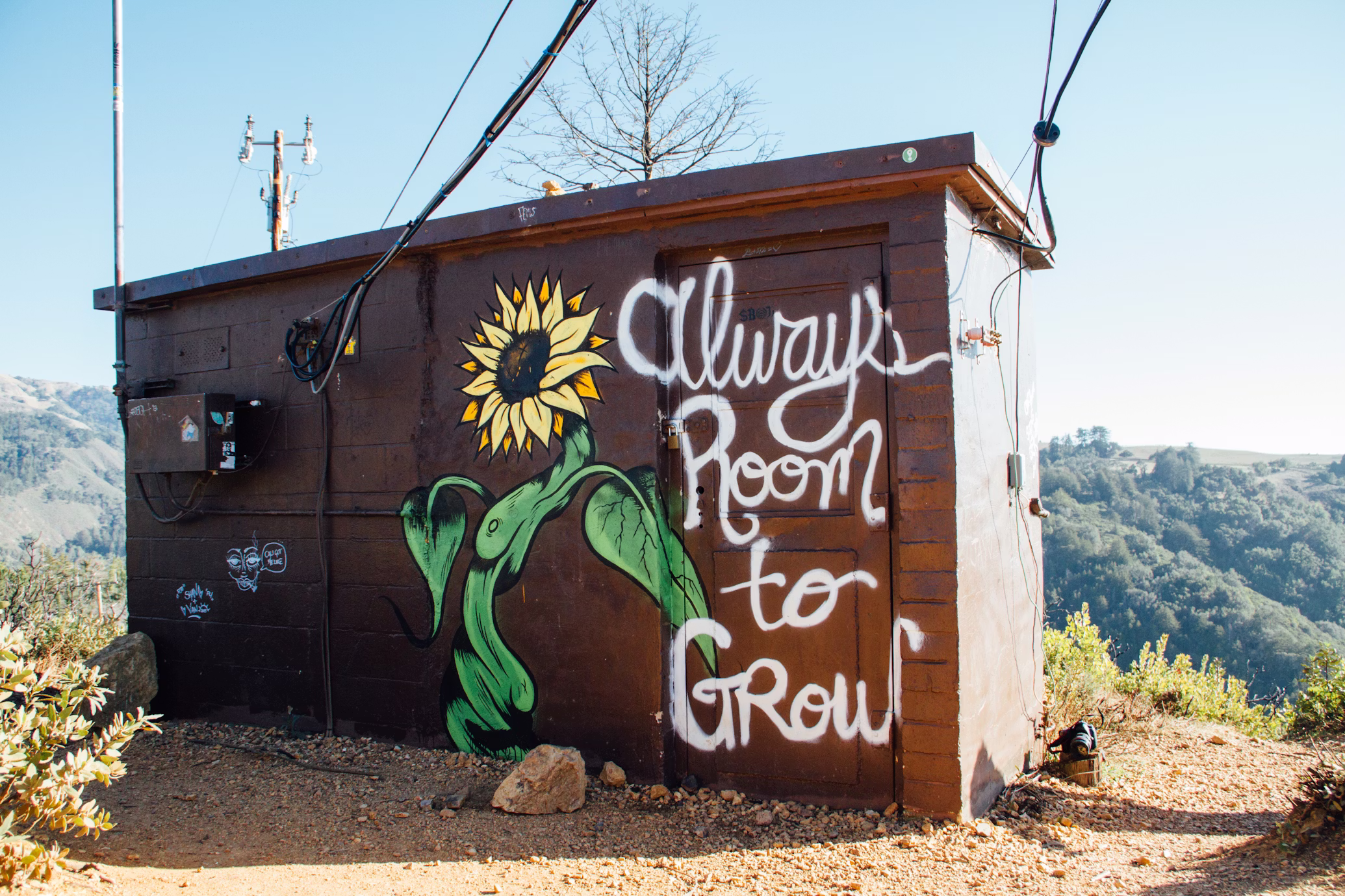 SEO & Growth